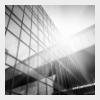 Doctor of Business Administration  in Finance & Economics By research via distance learning
